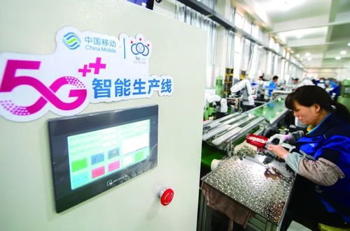 金华市第七次人口普查数据揭示城市发展新趋势